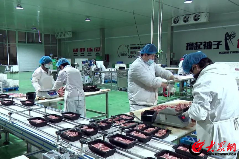 嘉兴汽车维修：紧跟行业趋势，开启绿色出行新时代
